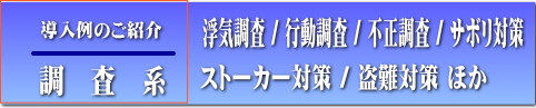 gps-dounyuu 1.jpg