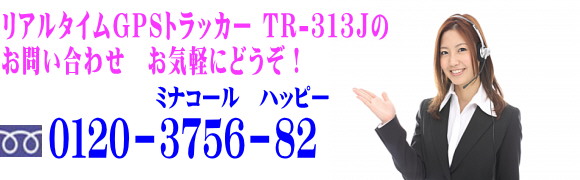 gps-tr313toiawase.jpg